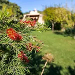 Finca Fontanet Binifarda